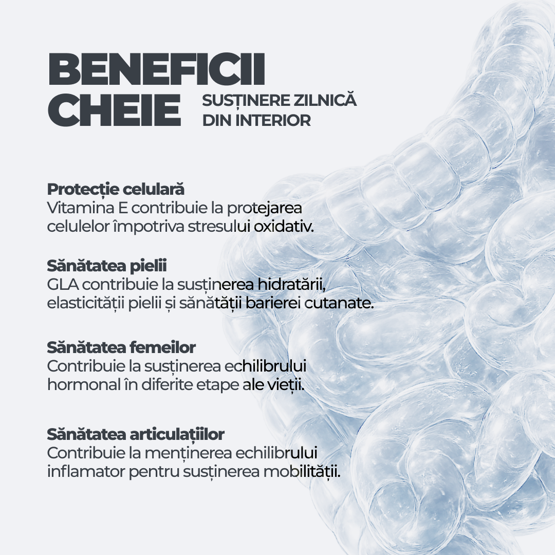 Borage Oil + Vitamin E DY Life, 30 Softgels, 30 Serviri