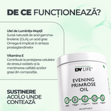 Evening Primrose Oil DY Life, 60 Softgels, 60 Serviri