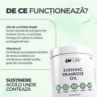 Evening Primrose Oil DY Life, 60 Softgels, 60 Serviri
