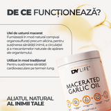Macerated Garlic Oil DY Life, 30 Softgels, 30 Serviri