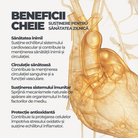 Macerated Garlic Oil DY Life, 30 Softgels, 30 Serviri