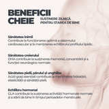 Omega 3-6-9 DY Life, 60 Softgels, 20 Serviri