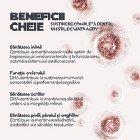 Omega 3 DY Life, 60 Softgels, 30 Serviri