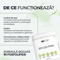 Soy Lecithin DY Life, 60 Softgels, 60 Serviri