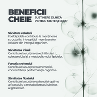 Soy Lecithin DY Life, 60 Softgels, 60 Serviri