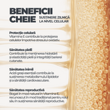 Wheat Germ Oil DY Life, 60 Softgels, 30 Serviri