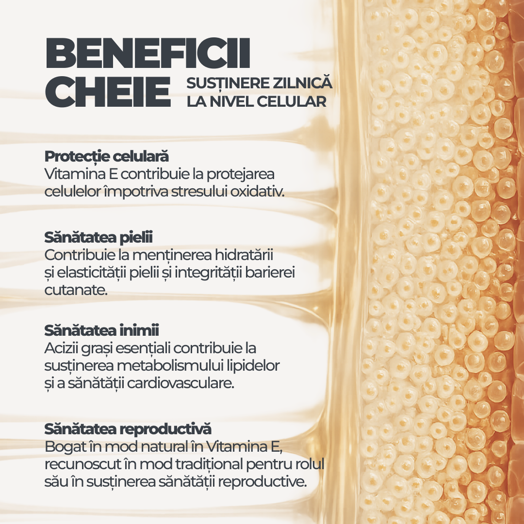 Wheat Germ Oil DY Life, 60 Softgels, 30 Serviri